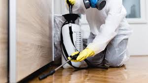 Emergency Pest Control Services in Oakland, CA